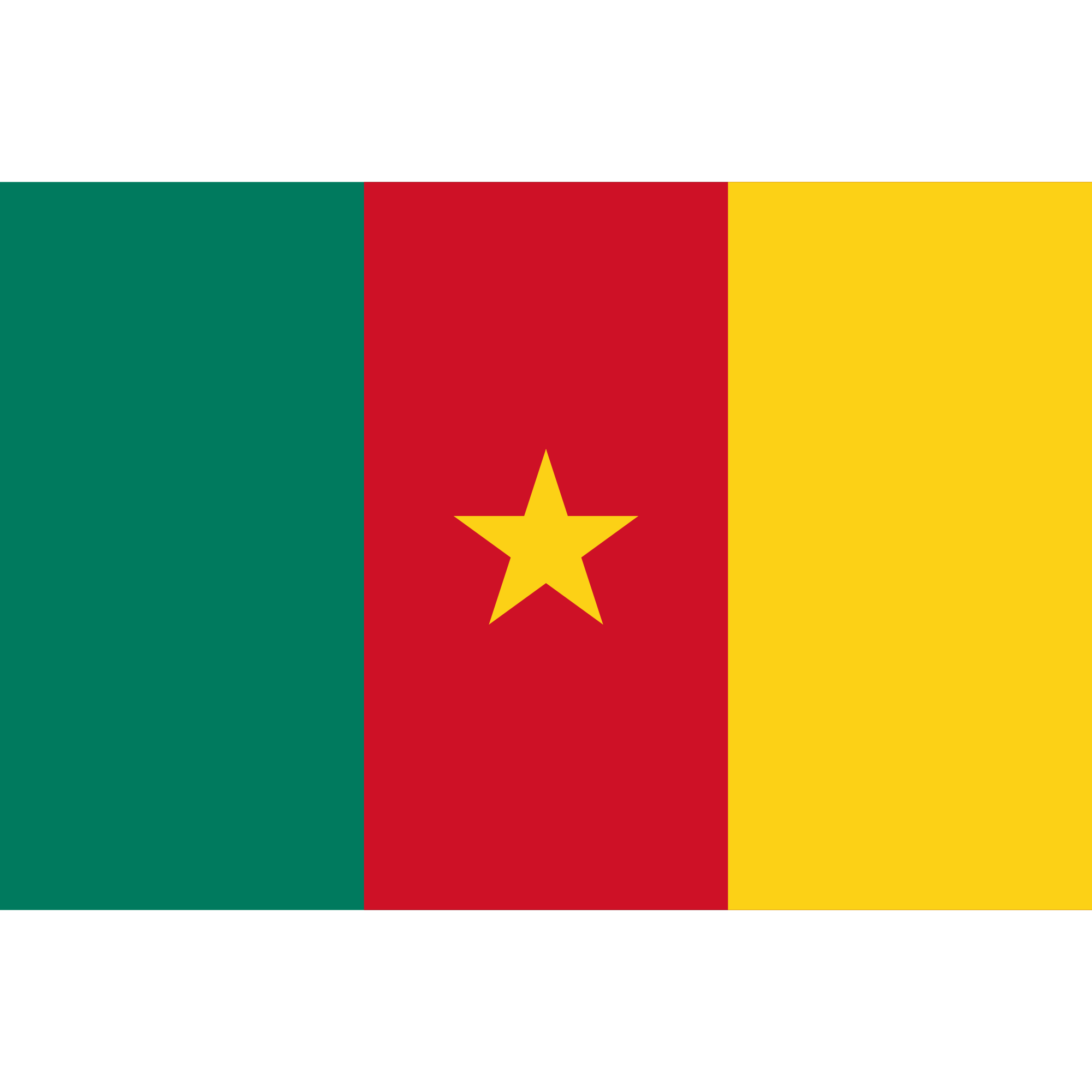 Cameroon logo