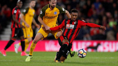 AFC Bournemouth 2-1 Brighton and Hove Albion