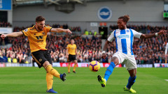 Brighton & Hove Albion 1-0 Wolverhampton Wanderers