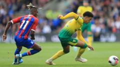Crystal Palace 2-0 Norwich City