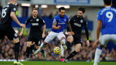 Everton 1-0 Brighton & Hove Albion